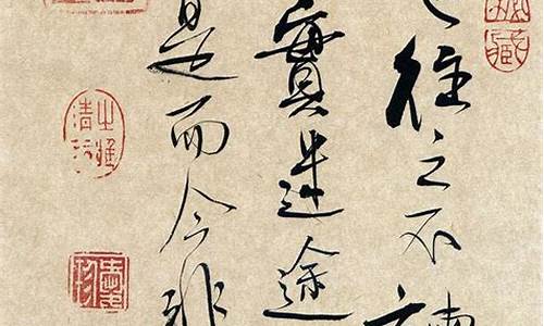 巧玲VPN下载官网（如何安全高效地保护网络隐私）