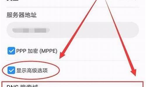 手机VPN设置技巧（如何保障网络安全）