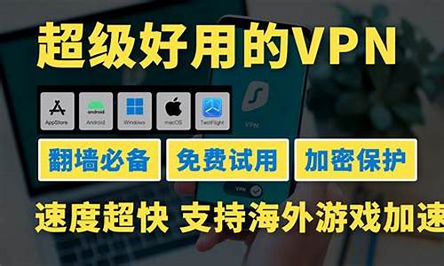 软件VPN的选择技巧（如何保障在线隐私与安全）