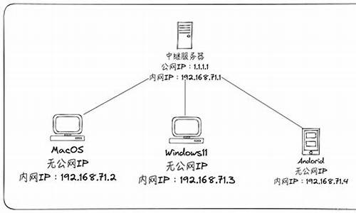轻松构建私密网络（掌握VPN架设技术实现匿名上网）