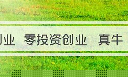 零投资创业机会（在家也能开启成功的事业）